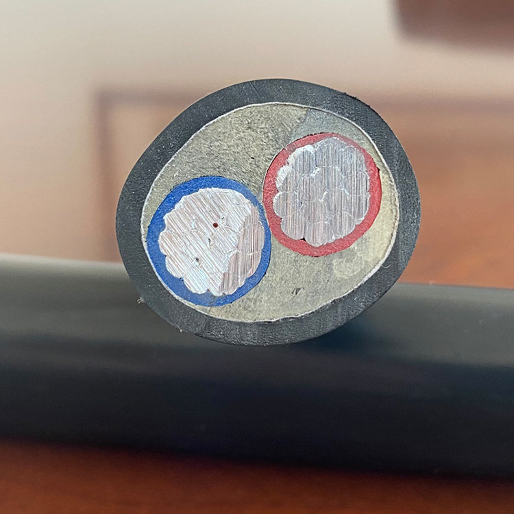 Лоиҳаи беҳсозии хона Алюминий Core Wire